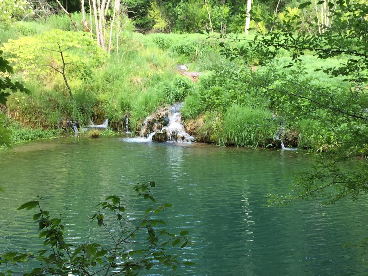 Gaestehaus Marion Dettingen an der Erms Buitenkant foto